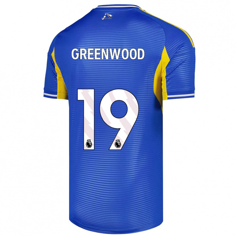 Danxen Dzieci Sam Greenwood #19 Niebiesko-Żółty Wyjazdowa Koszulka 2025/26 Koszulki Klubowe