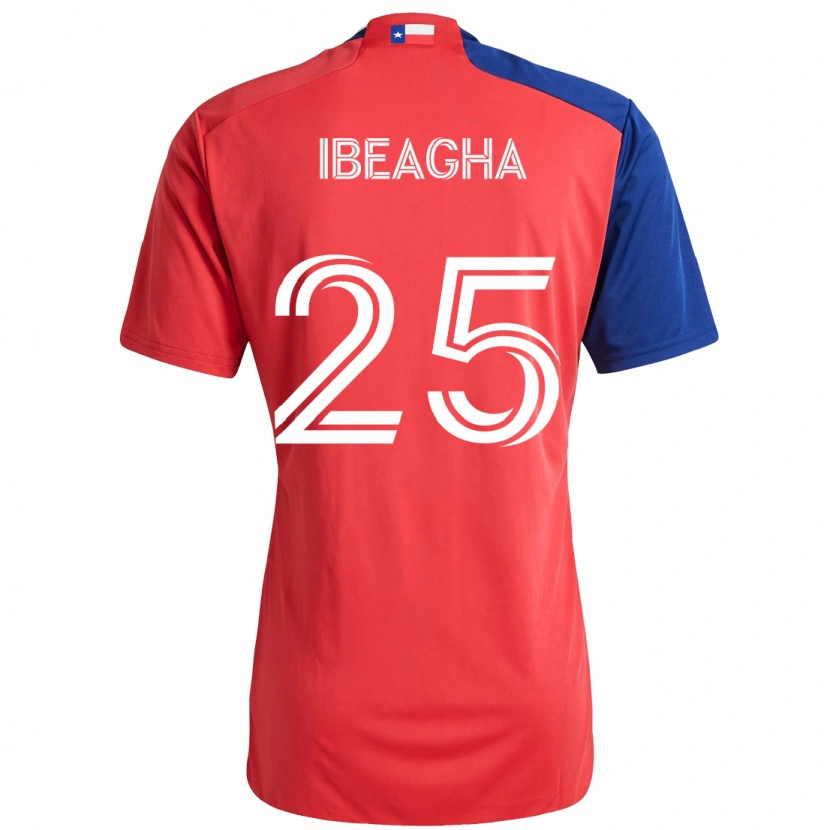Danxen Męski Sebastien Ibeagha #25 Jasnoniebieski Czerwony Domowa Koszulka 2025/26 Koszulki Klubowe