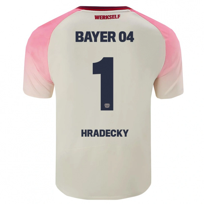 Danxen Kobiety Lukas Hradecky #1 Różowy Złamana Biel Wyjazdowa Koszulka 2025/26 Koszulki Klubowe