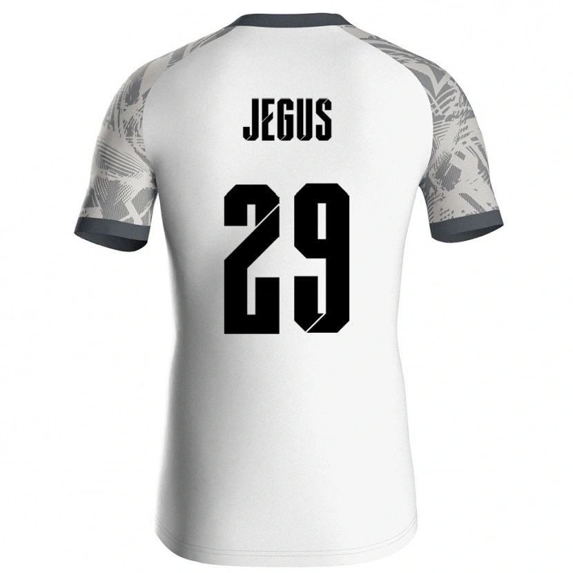 Danxen Dzieci Leonard Jegus #29 Szary Biały Koszulka Bramkarska 2025/26