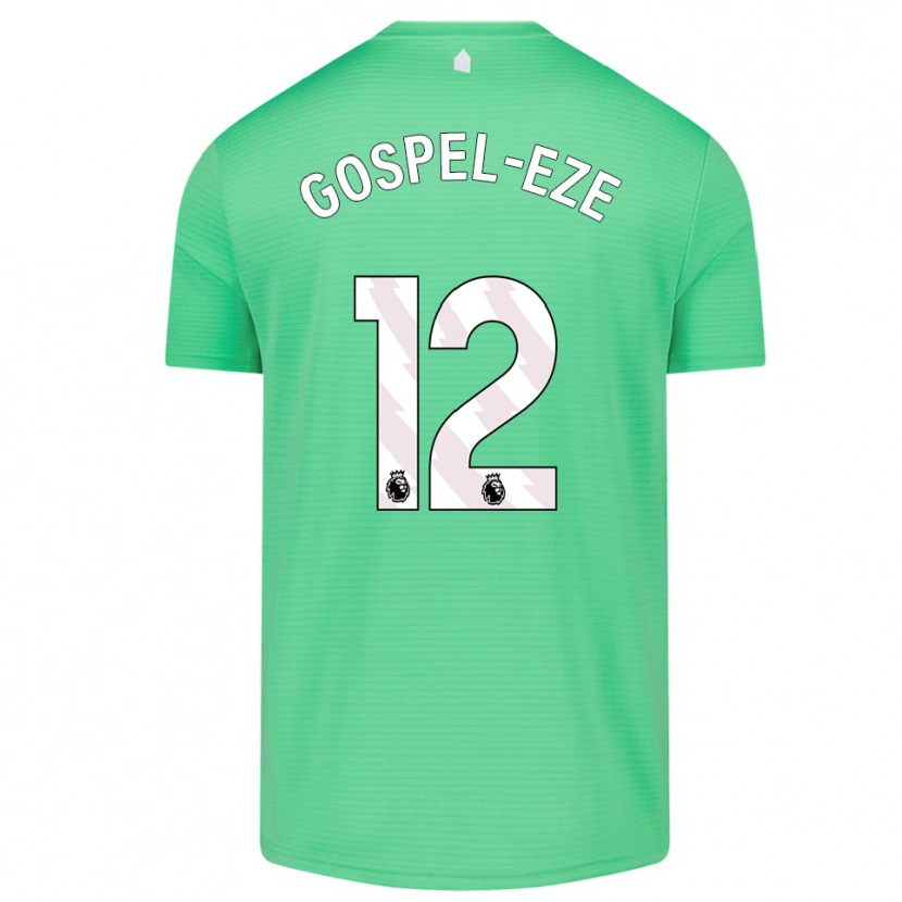 Danxen Dzieci Goodness Gospel-Eze #12 Średni Zielony Koszulka Bramkarska 2025/26