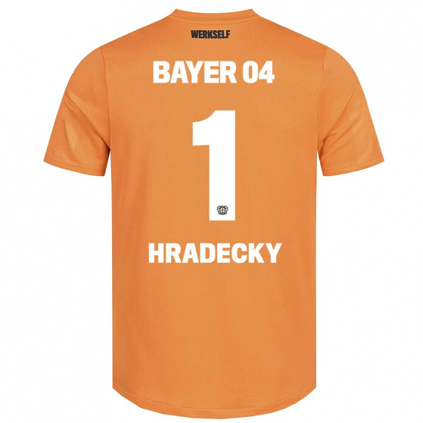 Danxen Dzieci Lukas Hradecky #1 Piaskowy Brąz Koszulka Bramkarska 2025/26