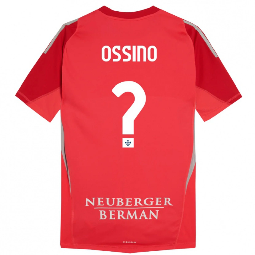 Danxen Dzieci Daniel Ossino #0 Czerwony Szary Koszulka Bramkarska 2025/26