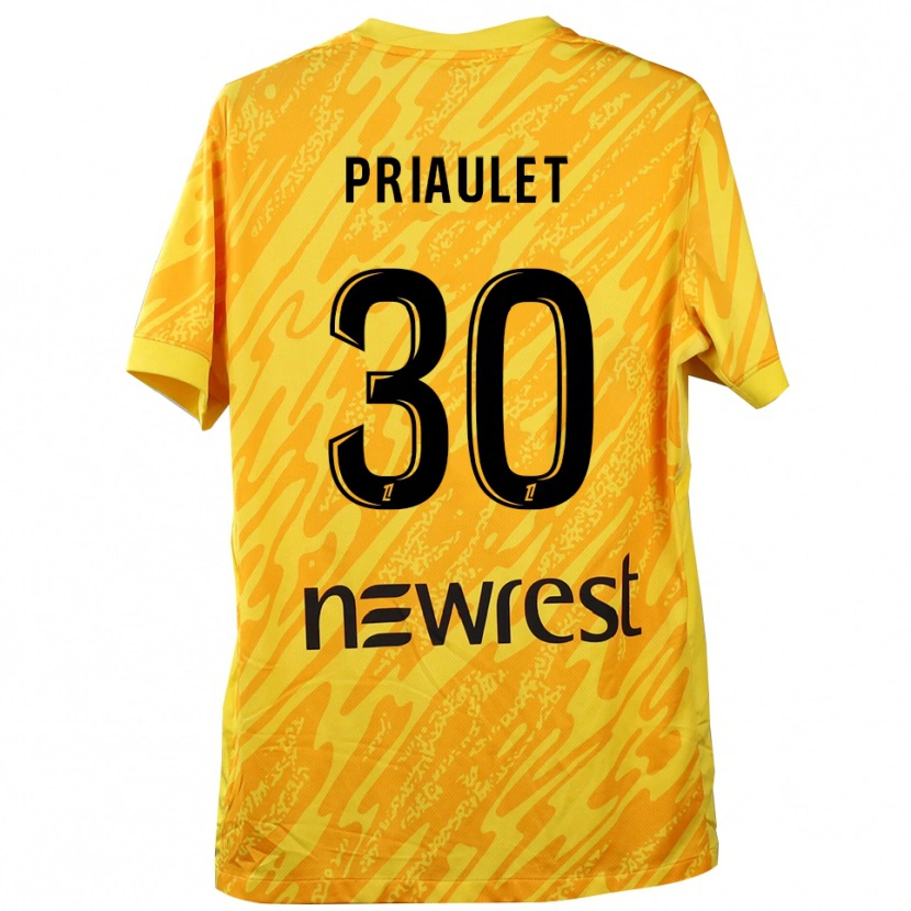 Danxen Męski Anaïs Priaulet #30 Żółto Czarny Koszulka Bramkarska 2025/26