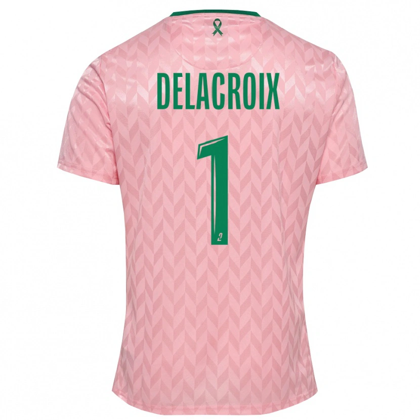 Danxen Męski Noa Delacroix #1 Różowo-Zielony Koszulka Bramkarska 2025/26