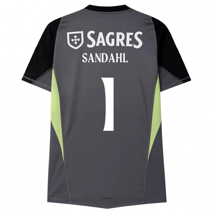 Danxen Męski Alexander Sandahl #1 Ciemnoszary Czarny Koszulka Bramkarska 2025/26