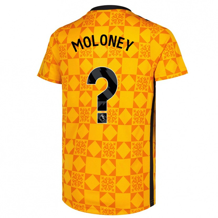 Danxen Kobiety Grace Moloney #0 Żółty Czarny Koszulka Bramkarska 2025/26