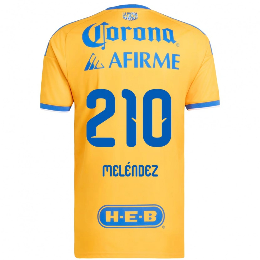Danxen Męski Marcelo Meléndez #210 Żółty Niebieski Domowa Koszulka 2026/27 Koszulki Klubowe