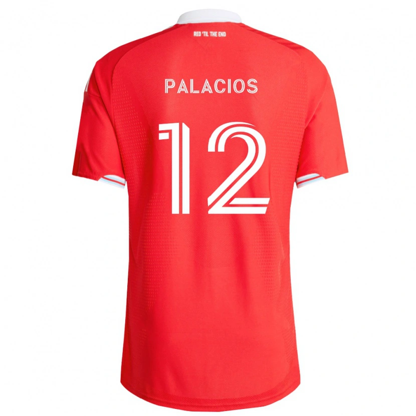 Danxen Męski Denzel Palacios #12 Czerwony Głęboki Niebieski Biały Domowa Koszulka 2026/27 Koszulki Klubowe