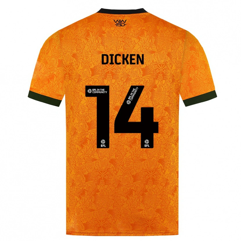 Danxen Męski Amy Dicken #14 Pomarańczowy Czarny Domowa Koszulka 2026/27 Koszulki Klubowe