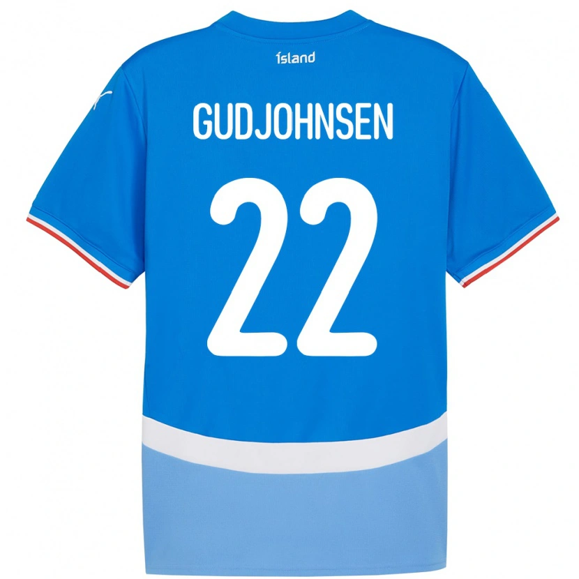 Danxen Dzieci Islandia Andri Gudjohnsen #22 Niebieski Domowa Koszulka 24-26 Koszulki Klubowe
