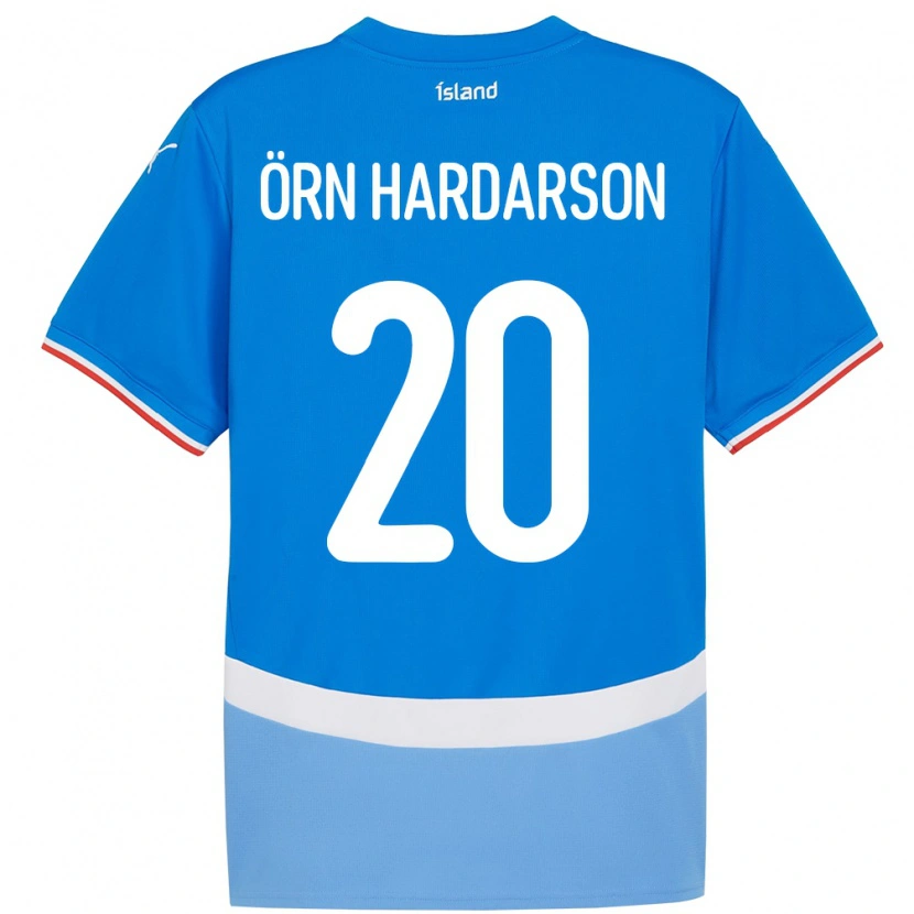 Danxen Dzieci Islandia Sesar Örn Hardarson #20 Niebieski Domowa Koszulka 24-26 Koszulki Klubowe