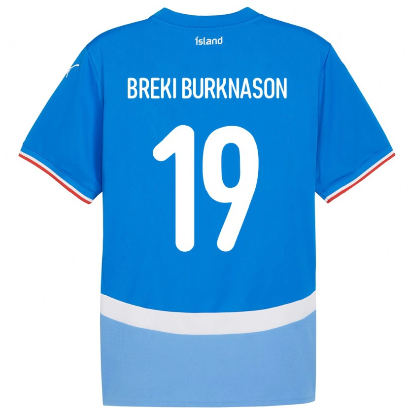 Danxen Męski Islandia Birnir Breki Burknason #19 Niebieski Domowa Koszulka 24-26 Koszulki Klubowe
