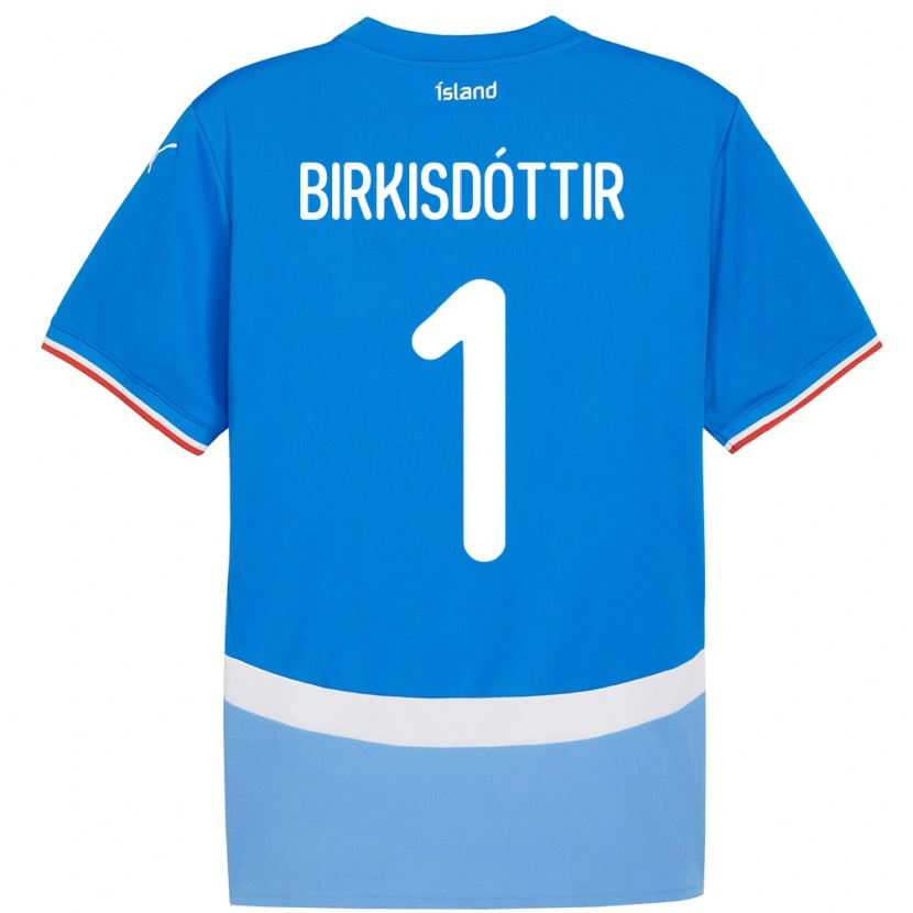 Danxen Męski Islandia Fanney Inga Birkisdóttir #1 Niebieski Domowa Koszulka 24-26 Koszulki Klubowe