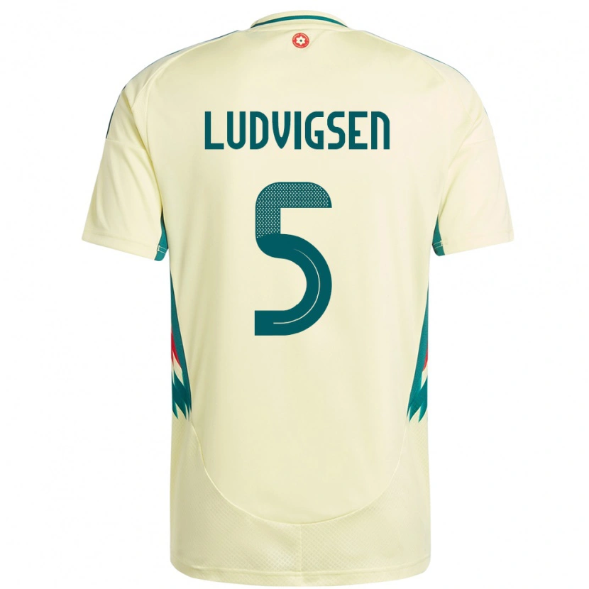 Danxen Męski Walia Kai Ludvigsen #5 Beżowy Żółty Wyjazdowa Koszulka 24-26 Koszulki Klubowe