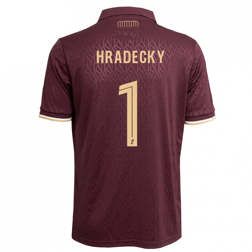 Danxen Męski Lukas Hradecky #1 Brązowy Piaskowy Brązowy Wyjazdowa Koszulka 2026/27 Koszulki Klubowe