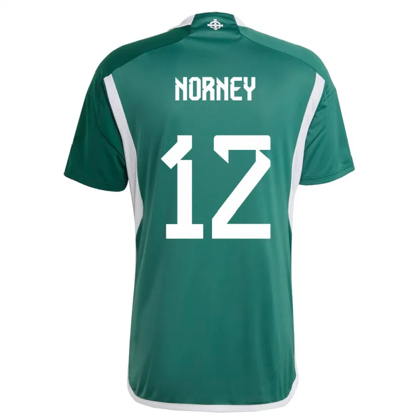 Danxen Dzieci Irlandia Północna Rachael Norney #12 Zielony Domowa Koszulka 24-26 Koszulki Klubowe