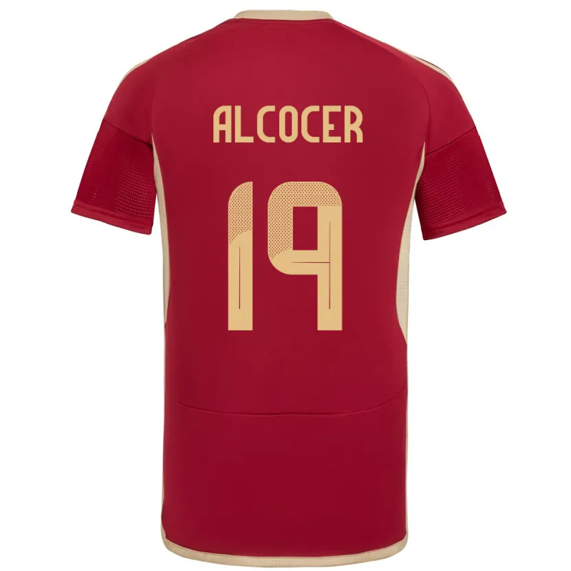 Danxen Dzieci Wenezuela Brayan Alcocer #19 Burgundia Domowa Koszulka 24-26 Koszulki Klubowe