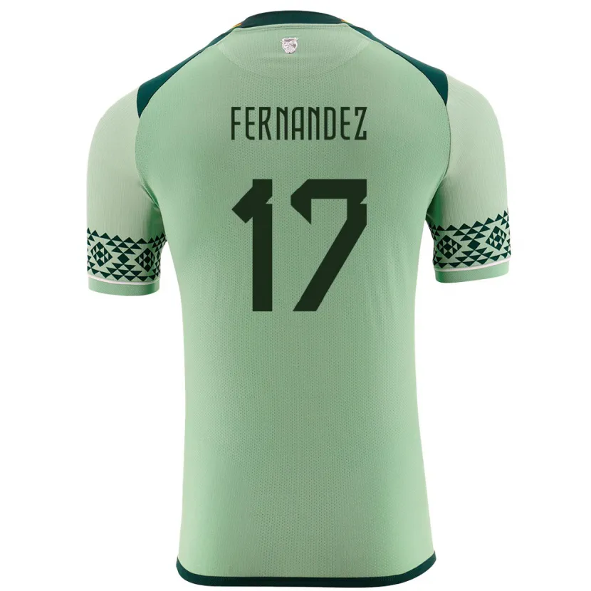 Danxen Męski Boliwia Roberto Fernández #17 Jasnozielony Domowa Koszulka 24-26 Koszulki Klubowe