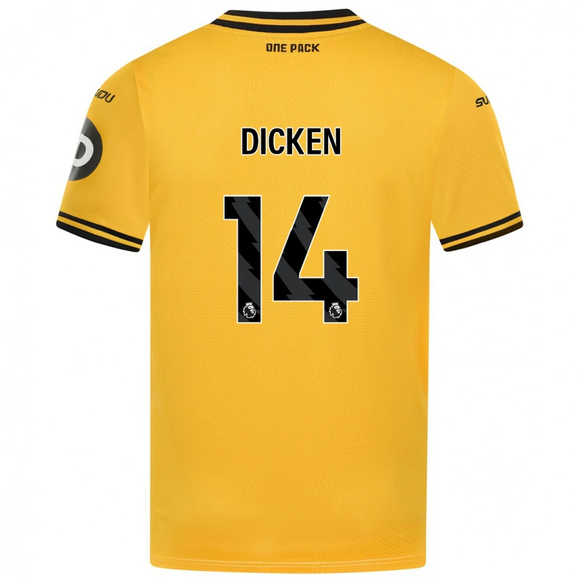 Danxen Męski Amy Dicken #14 Żółty Domowa Koszulka 2024/25 Koszulki Klubowe