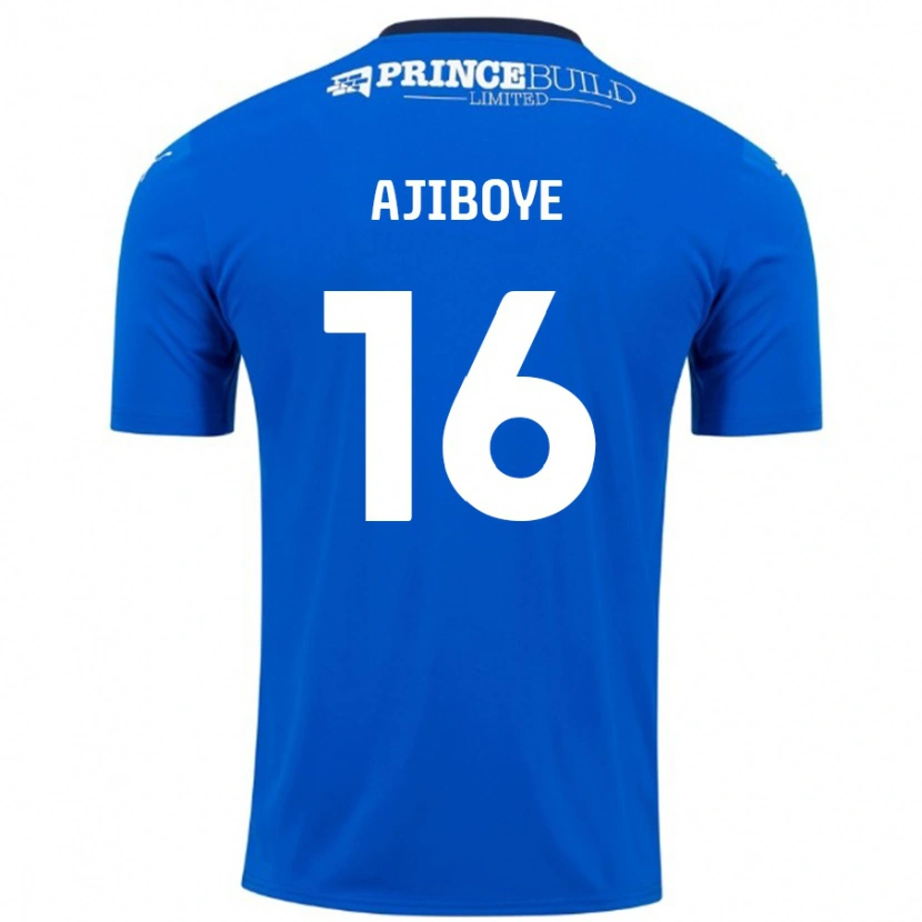 Danxen Męski David Ajiboye #16 Niebieski Biały Domowa Koszulka 2024/25 Koszulki Klubowe
